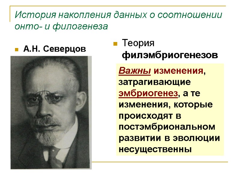 История накопления данных о соотношении онто- и филогенеза А.Н. Северцов Теория филэмбриогенезов Важны История накопления данных о соотношении онто- и филогенеза А.Н. Северцов Теория филэмбриогенезов Важны